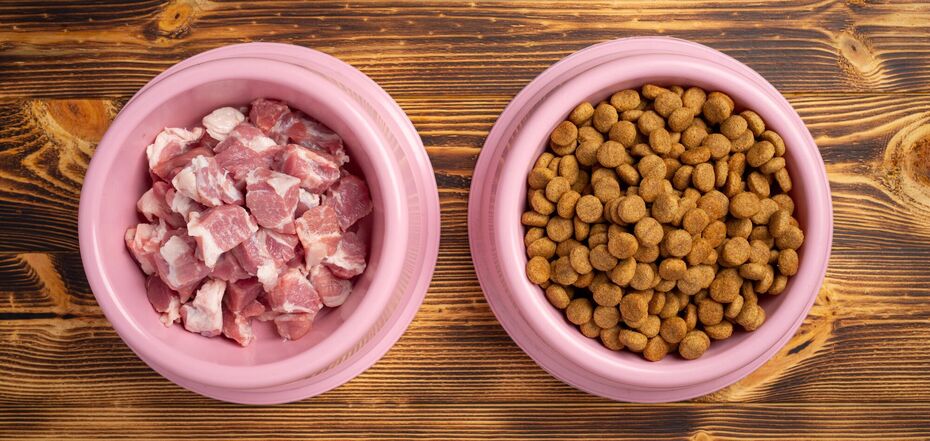 Можно ли кормить кошек сырым мясом – преимущества и недостатки кормления  кошек сырым мясом – не навредит ли коту есть сырое мясо