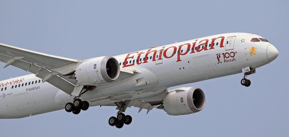Авиаперевозчика Ethiopian Airlines обвиняют в дискриминации этнических меньшинств: что произошло