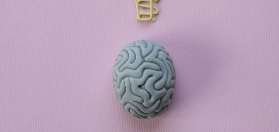 Пять интересных фактов о мозге