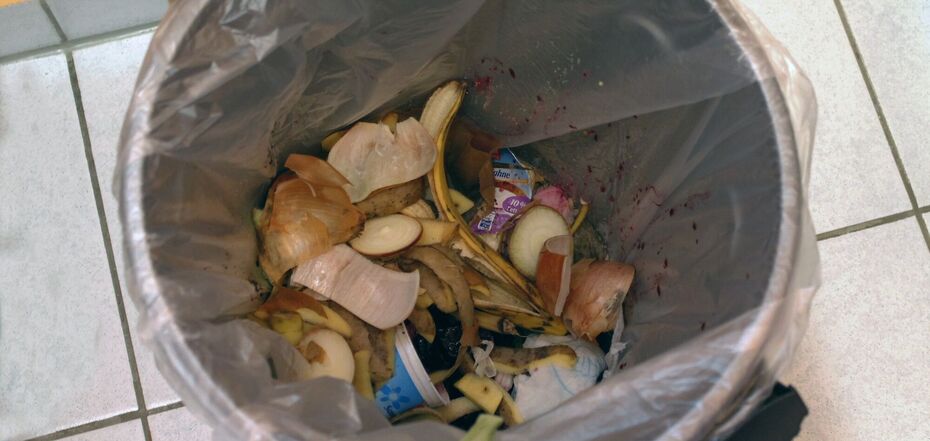 Чому не можна викидати їжу у смітник