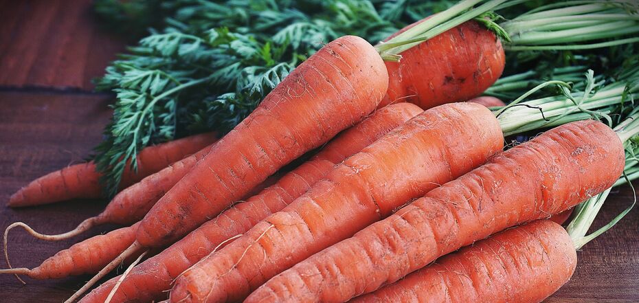 Когда можно собирать морковь