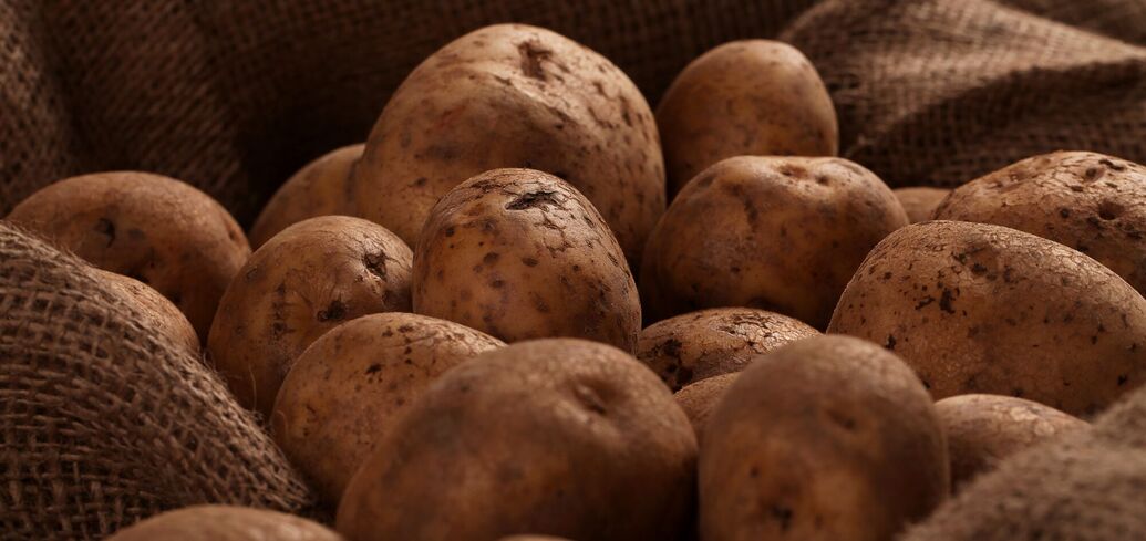 Секреты выращивания картофеля