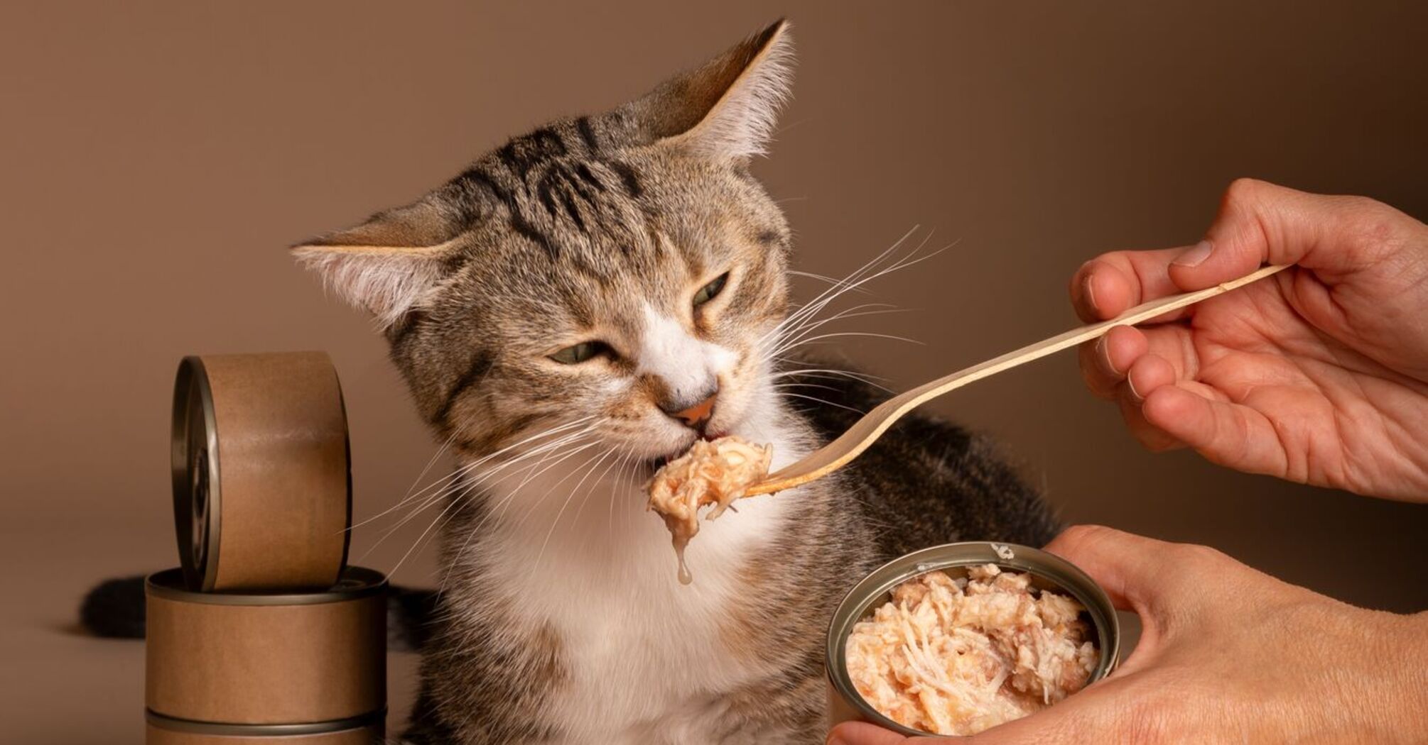 Ціми продуктами не варто годувати котів