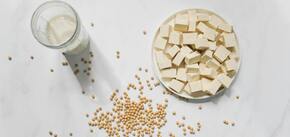 Многочисленные преимущества тофу для здоровья: рассказываем о невероятном растительном белке