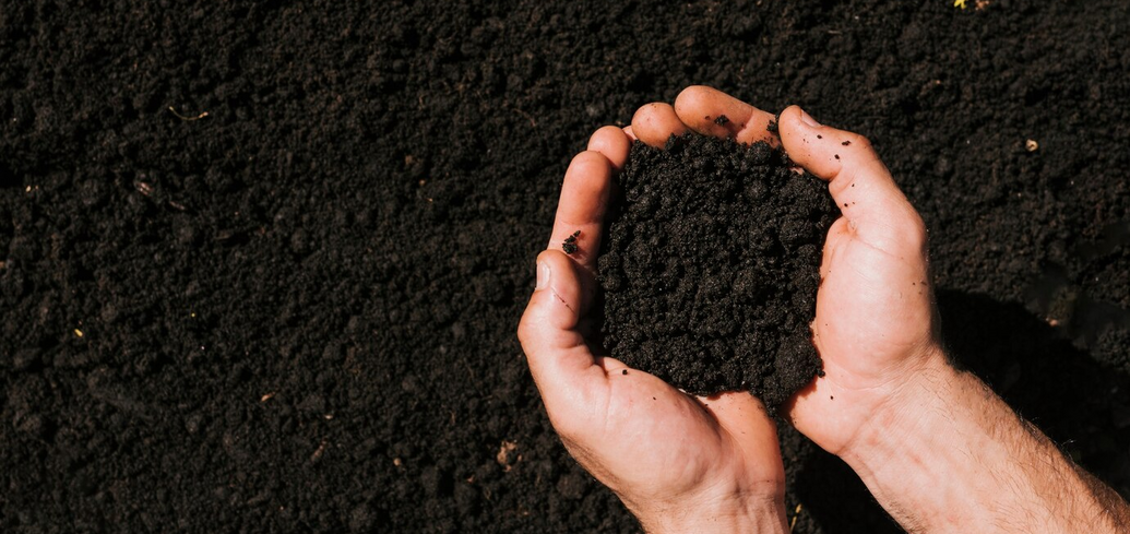 Эффективные методы оценки кислотности почвы