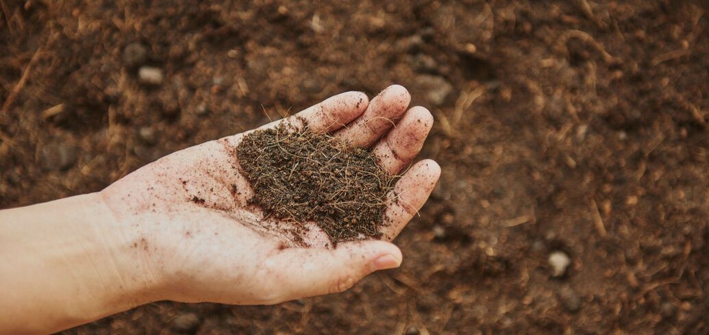 Эффективные лайфхаки для борьбы с закислением почвы