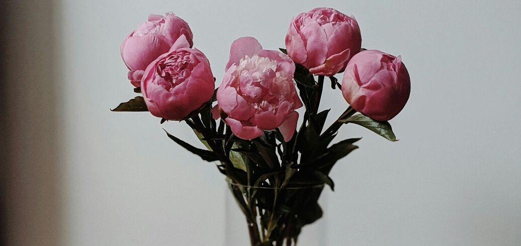 Как продлить жизнь цветов в вазе: три способа