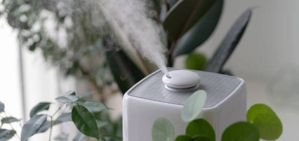 Как увлажнить воздух в домашних условиях: 5 простых советов