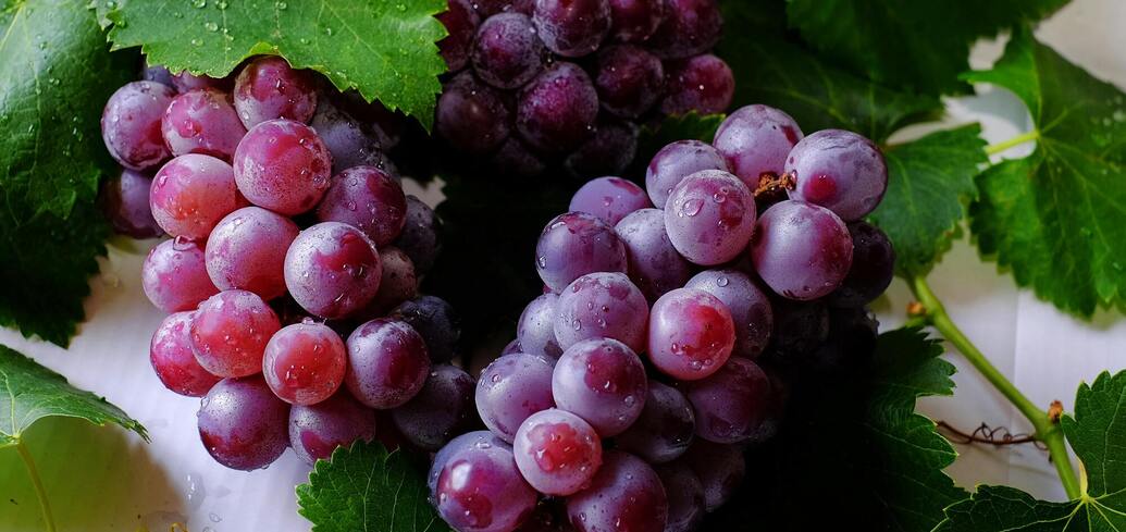 Как улучшить урожай винограда с помощью удобрения: что нужно знать