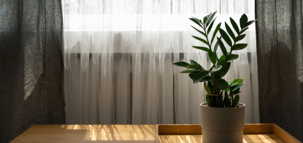 Хороший сон и атмосфера дома: как правильно выбрать шторы