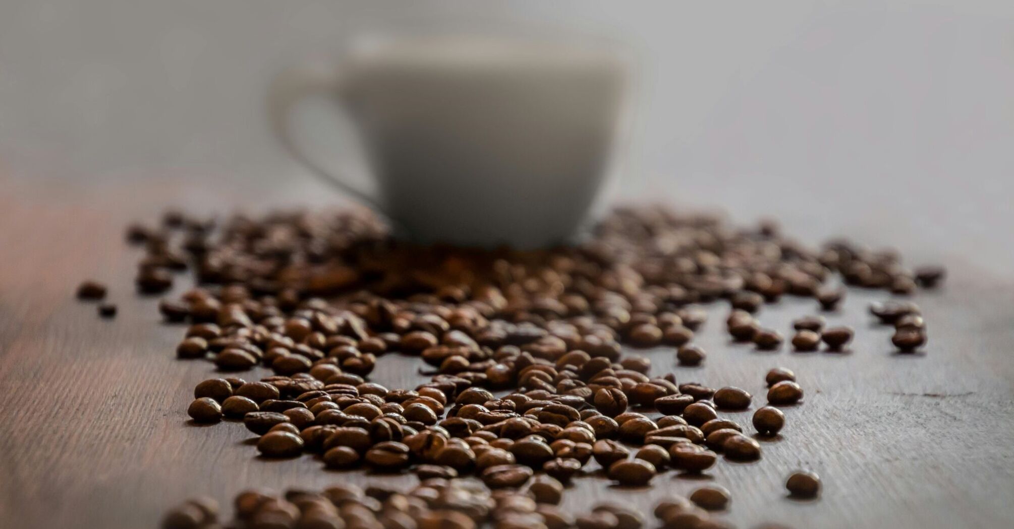 Робуста или арабика: какая разница между этими сортами кофе