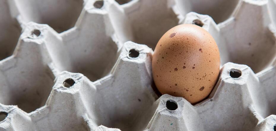 Как убедиться, что яйцо свежее: 3 простых лайфхака