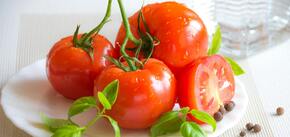 Чем нужно подпитывать рассаду помидоров: что нужно знать