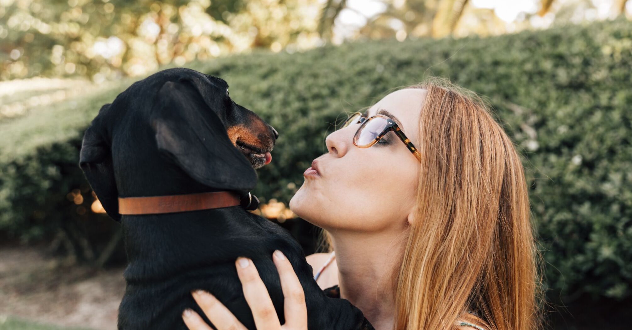 Чи варто дозволяти собакам облизувати ваше обличчя: потенційні ризики, про які варто знати