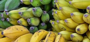 Сирі банани: 5 корисних рецептів для здоров'я 