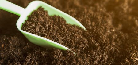 Як знизити кислотність ґрунту: основні прийоми для саду