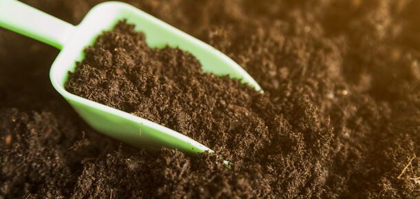 Как снизить кислотность почвы: основные приемы для сада