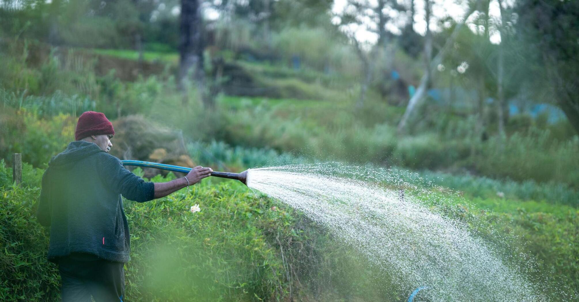 Как правильно поливать огород в жаркую погоду: летние лайфхаки