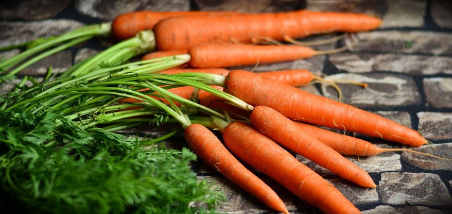 6 полезных свойств моркови, о которых вы могли не знать