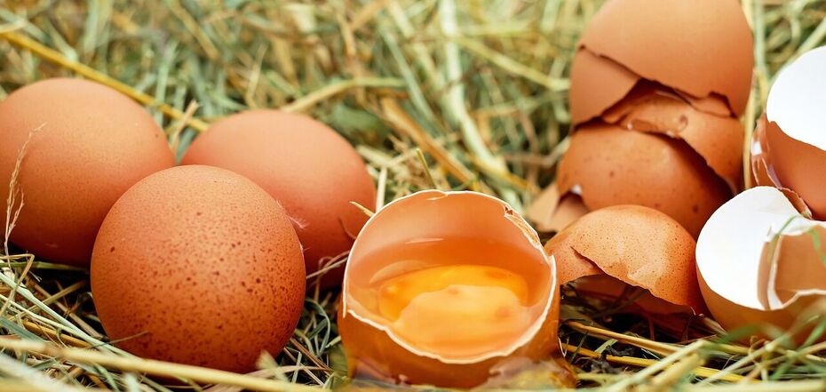 Якщо ви ще їх не споживаєте, то варто почати: в чому користь яєць 
