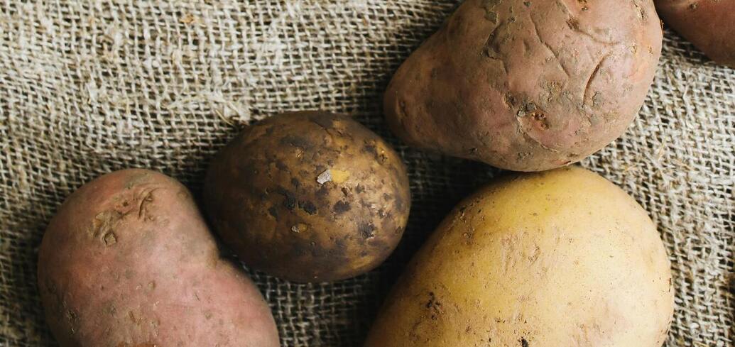 Як покращити ріст картоплі під час цвітіння: важливість правильного внесення добрив