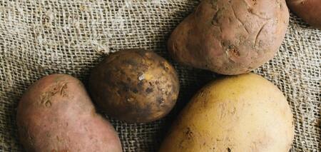 Как улучшить рост картофеля во время цветения: важность правильного внесения удобрений