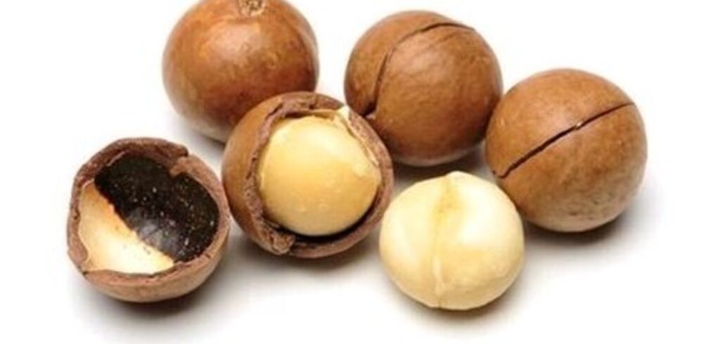 В чому неймовірна користь горіхів макадамії