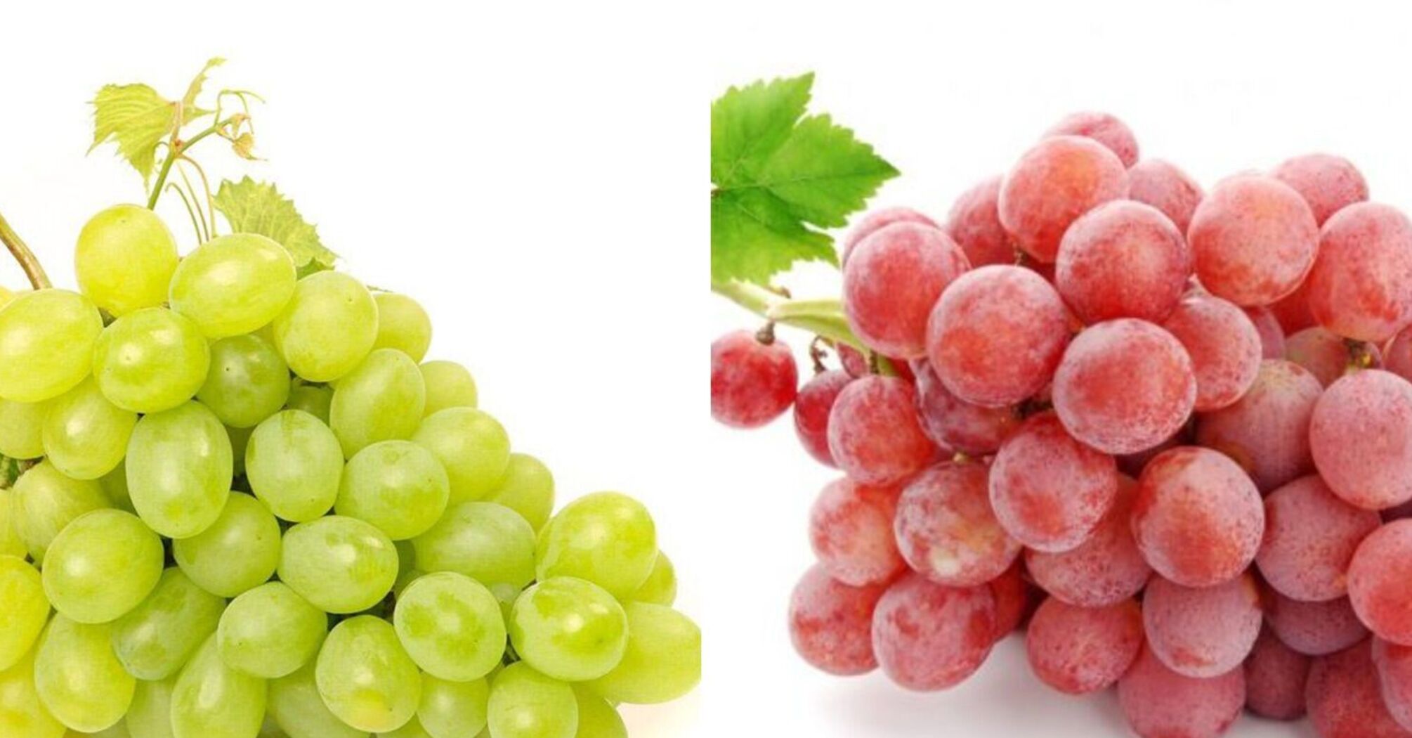 Фрукт молодости: действительно ли виноград так полезен