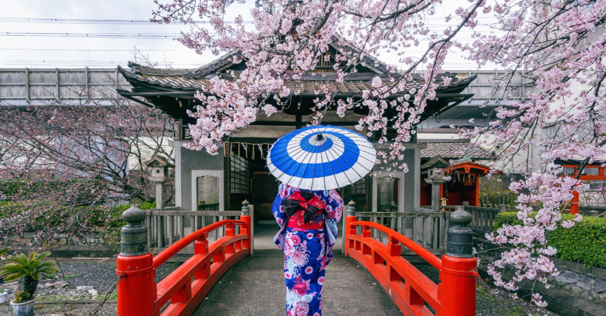 Горы, храмы и музей лапши: самые увлекательные места Токио