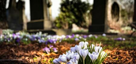 Які квіти посадити на кладовищі
