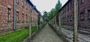Пять фактов об Освенциме