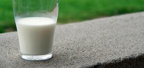 Як використовувати молоко для поливу