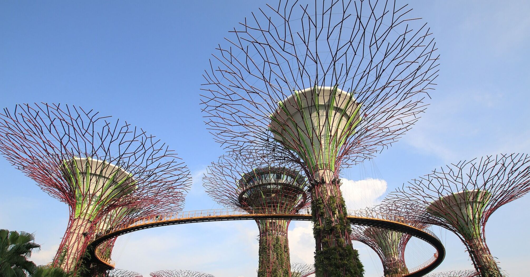 Познайомтеся із райським куточком Сінгапуру – Gardens by the Bay