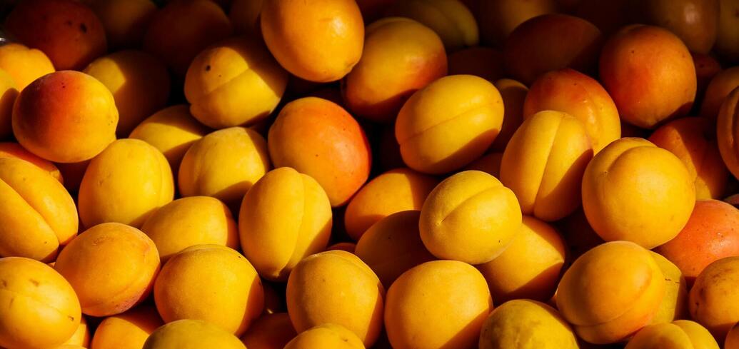 Секрети літньої обрізки абрикоса: як отримати соковиті та великі плоди