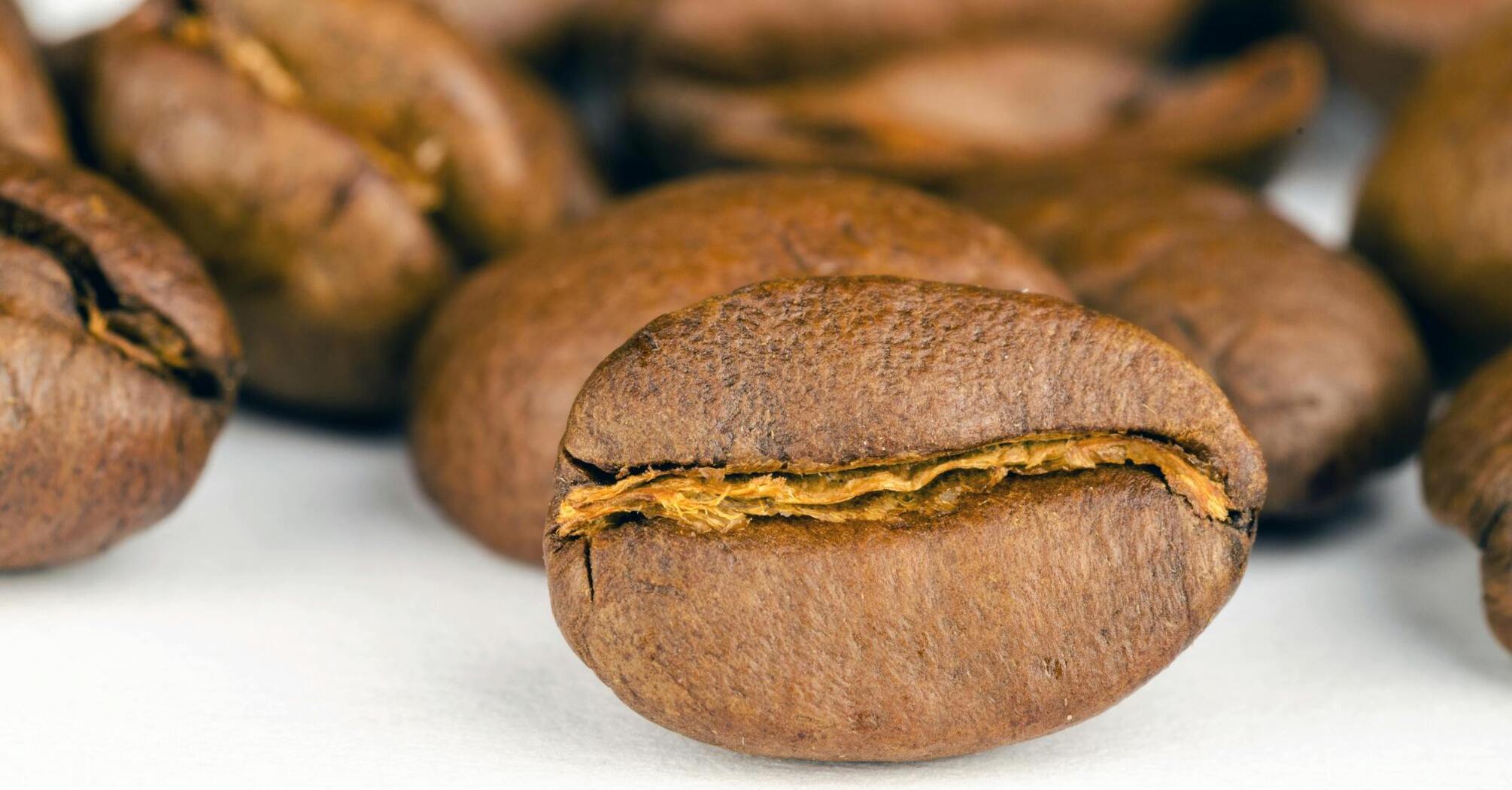 Вишуканий аромат та неперевершений смак: досліджуємо зростання та багатство спеціалізованої кави