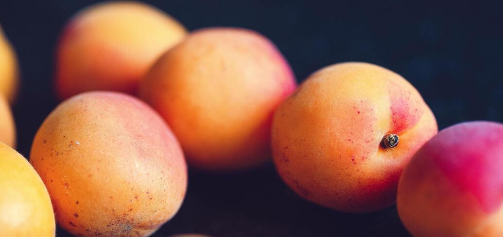 Як захистити персикові дерева від кучерявості: прості поради для захисту