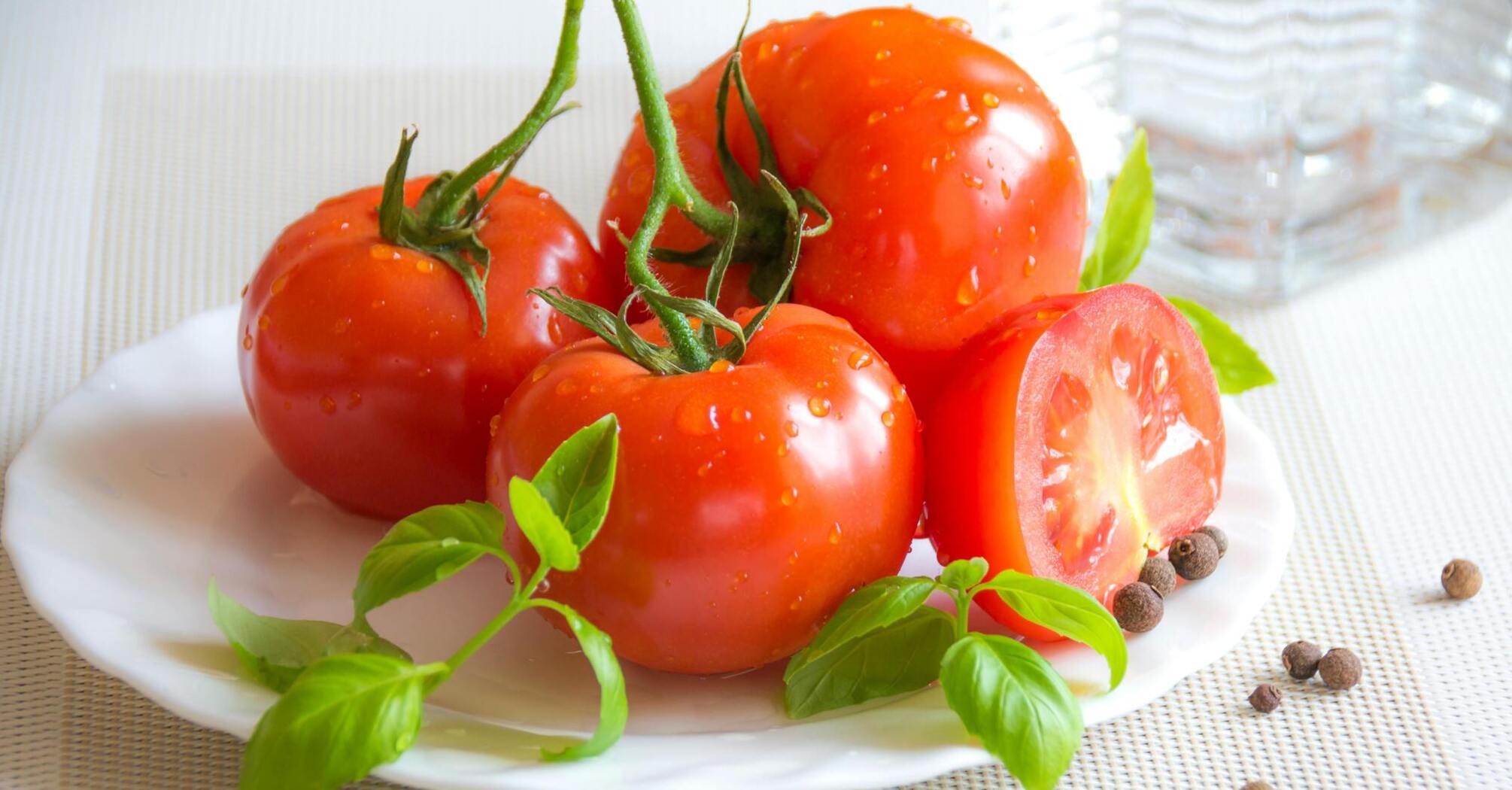 Профилактика фитофтороза на томатах: эффективные методы для здорового урожая